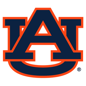 /images/NativeArtwork/Auburn Tigers.jpg